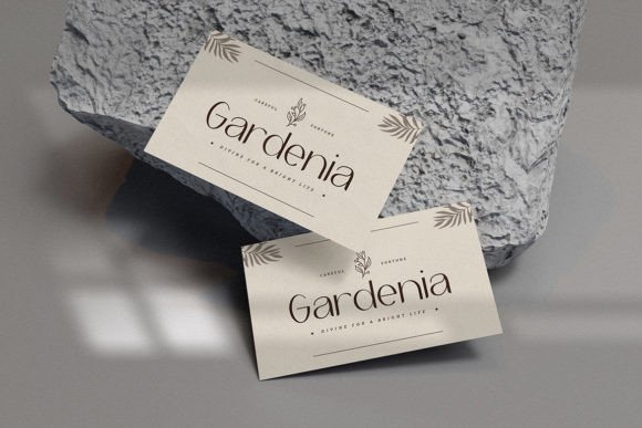 Reaste Elegant Font - Image 6