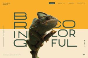 Alternative view of Rinjani Sans Font