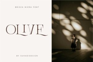 Alternative view of Brisca Miera Font