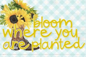 Alternative view of Rodeo Kings Font