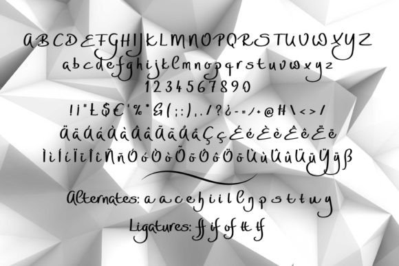 Roflag Stencil Font - Image 2