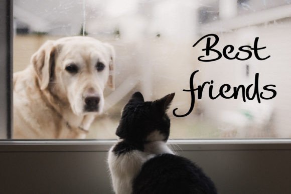 Roflag Stencil Font - Image 6