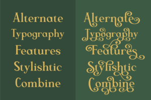 Alternative view of Rokabela Font