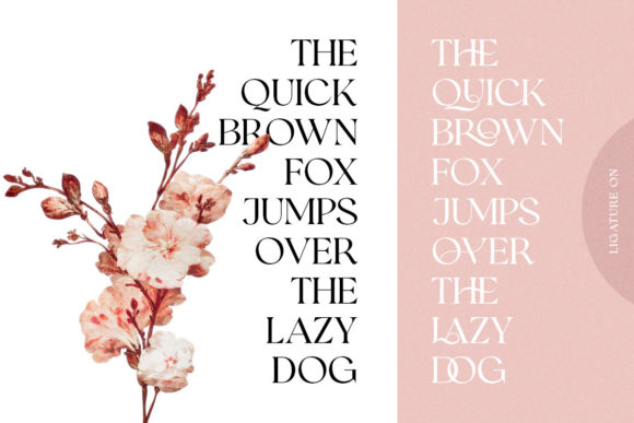 Romans Story Font - Image 6