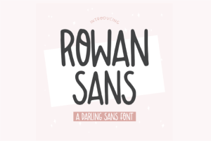 Rowan Sans Font
