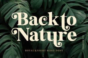 Alternative view of Royal Knight Font