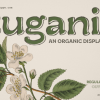Ruganic Font