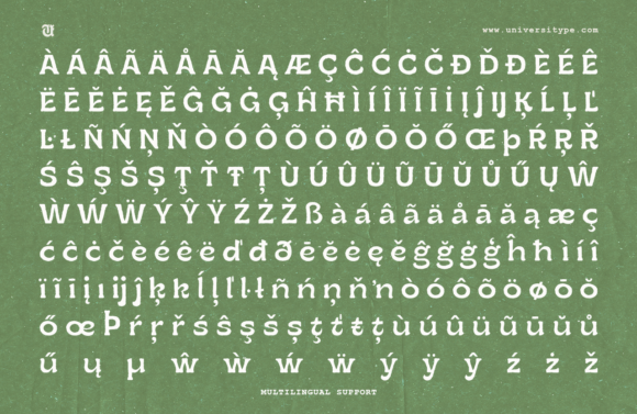 Ruganic Font - Image 8