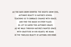 Alternative view of Rustic Spruce Font