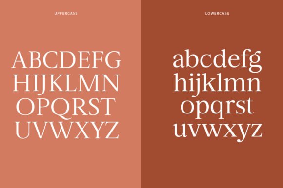 Sagitha Serif Font - Image 8