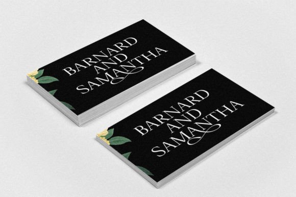 Sagitha Serif Font - Image 9