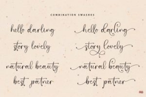 Alternative view of Salgitha Font