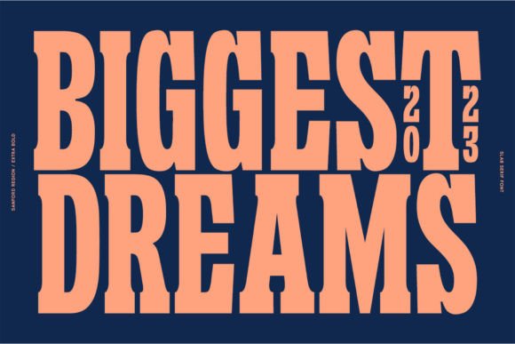 Sanford Region Font - Image 3