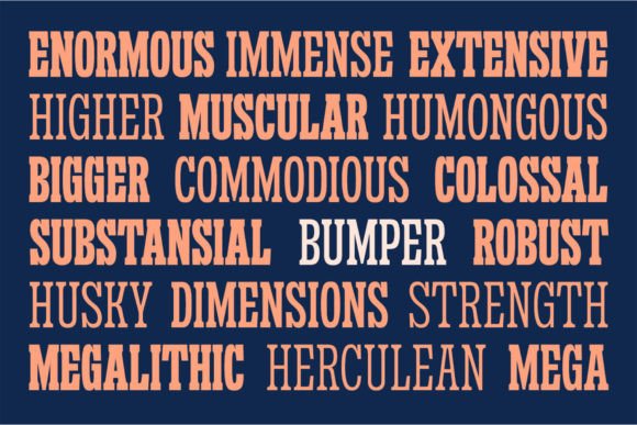 Sanford Region Font - Image 5