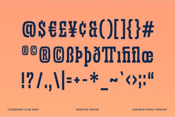 Sanford Region Font - Image 8