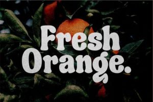 Alternative view of Sauce Tomato Font