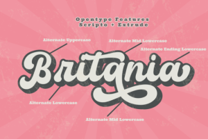 Alternative view of Scripto Font