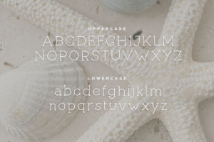 Alternative view of Seashells Font