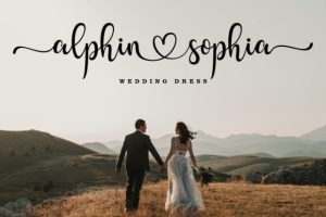 Alternative view of September Script Font
