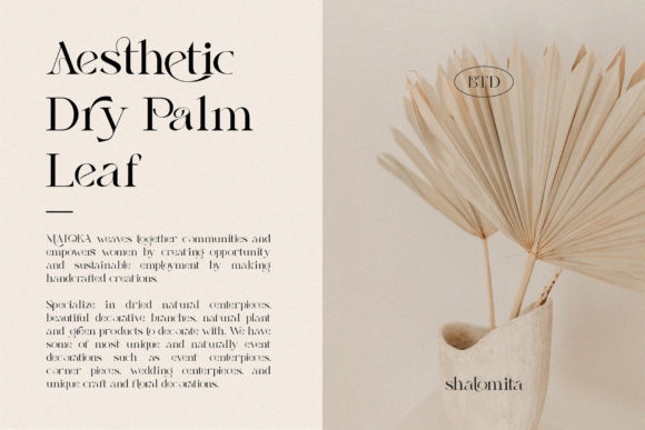 Shalomita Font - Image 4