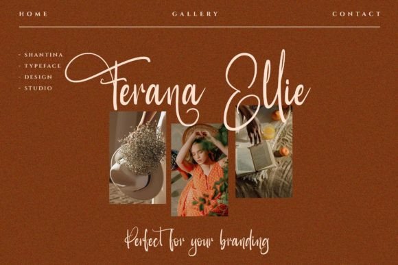 Shantina Font - Image 5