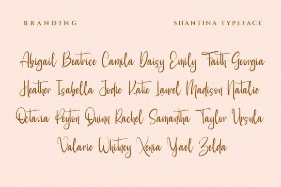 Shantina Font - Image 8