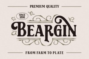 Alternative view of Shelten Font