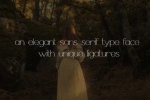 Alternative view of Shepia Font