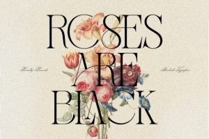 Alternative view of Sherlock Font