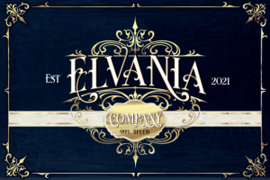 Alternative view of Shoster Font