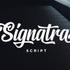 Signatra Script Font