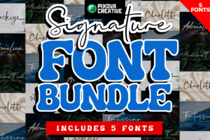 Signature Bundle Font