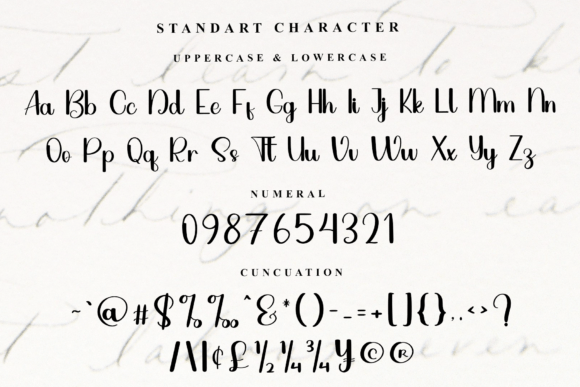 Signature Calligraphy Font - Image 5