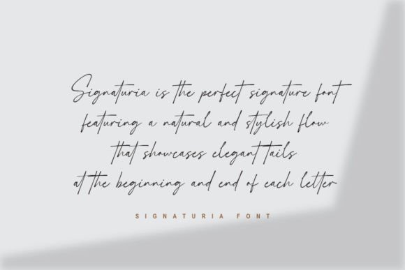 Signaturia Font - Image 6