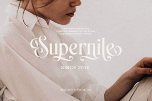 Alternative view of Silver Delight Font