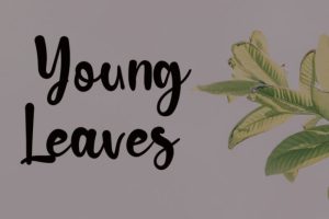 Alternative view of Simple Boho Font