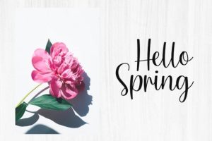 Alternative view of Simple Script Font