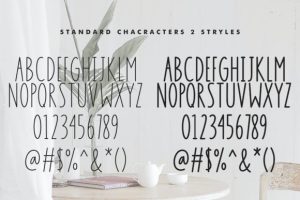 Alternative view of Simply Charming Font