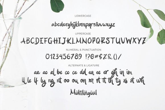 Siyuki Font - Image 7
