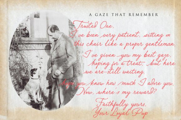 Smooth and Stable Font - Image 9