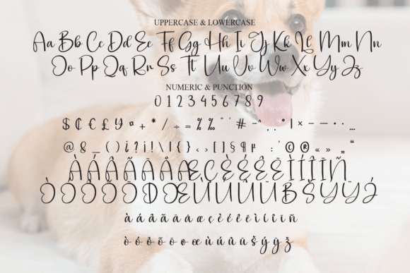 Snoopy Font - Image 7
