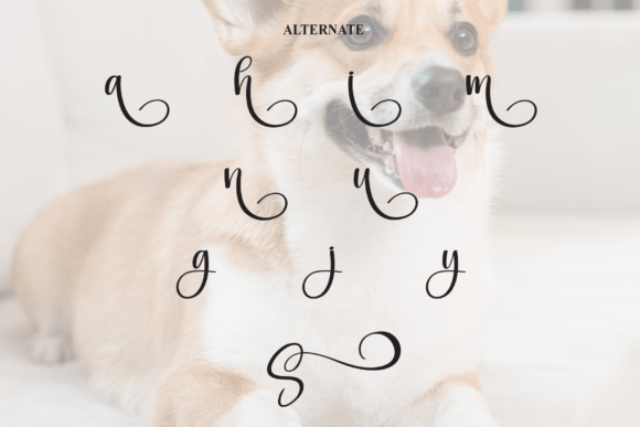 Snoopy Font - Image 8