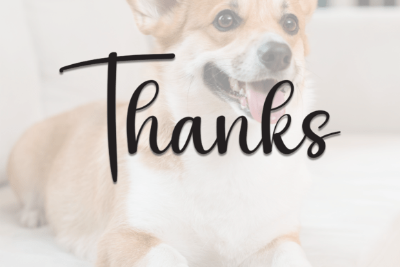 Snoopy Font - Image 9