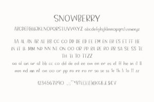 Alternative view of Snowberry Font