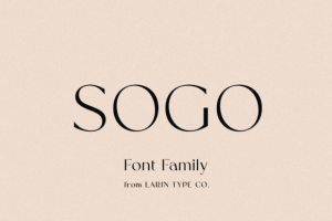 Sogo Font