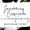Something Exquisite Font