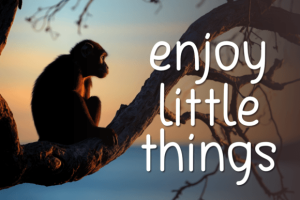 Alternative view of Something Meaningful Font