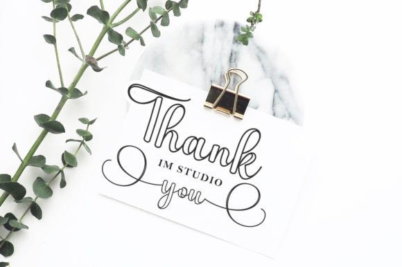 Sophia Outline Font - Image 8