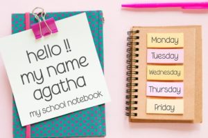 Alternative view of Special School Font