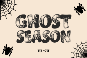 Alternative view of Spider Webs Font